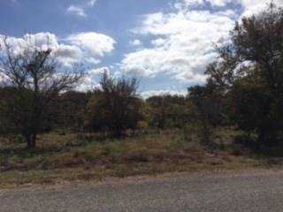 1173 Overlook Drive, Whitney, TX 76692