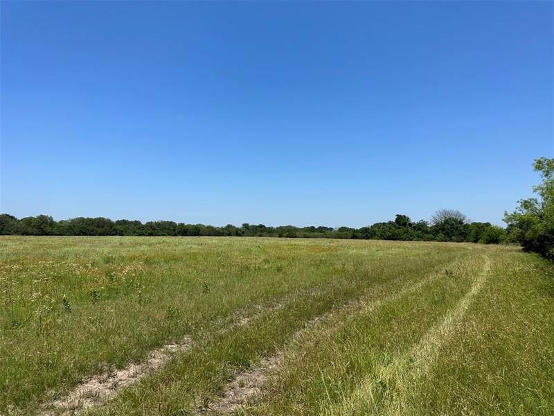 5029 C R 214, Hico, TX 76457