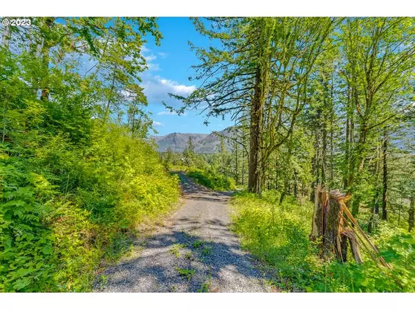 0 Warren RD #3, North Bonneville, WA 98639