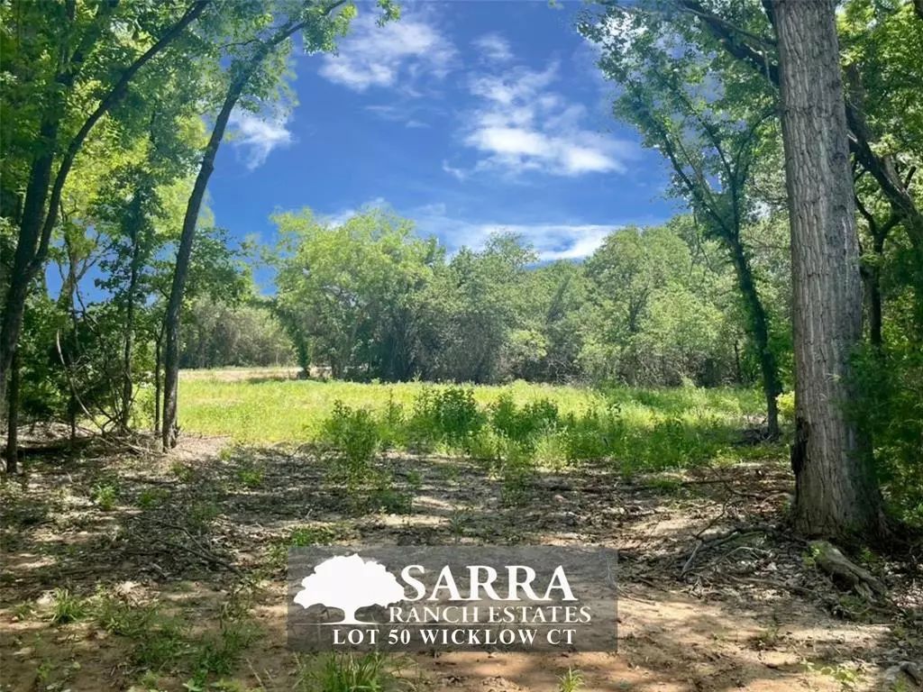 Poolville, TX 76487,Lot 50 Wicklow Court