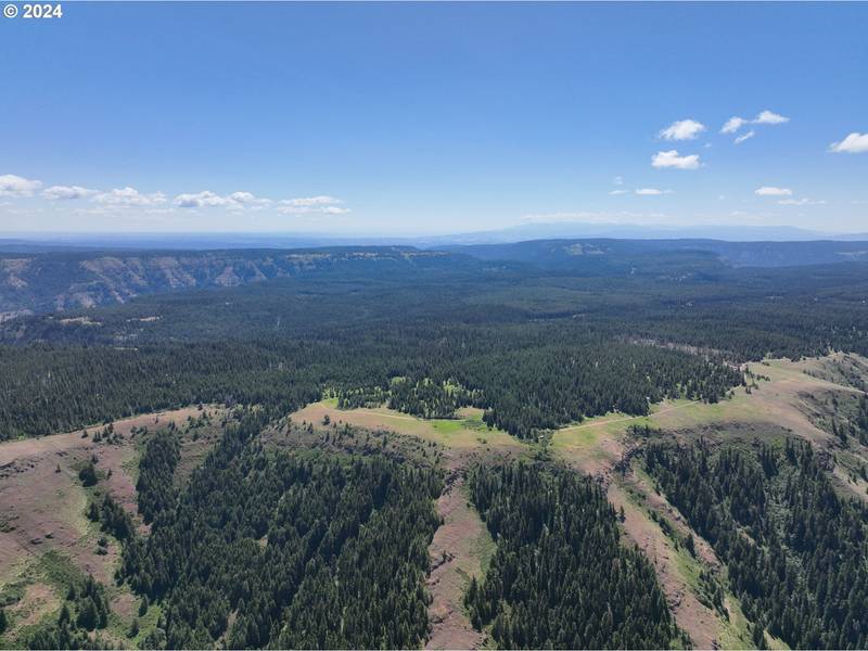 0 Vacant Land, Weston, OR 97886