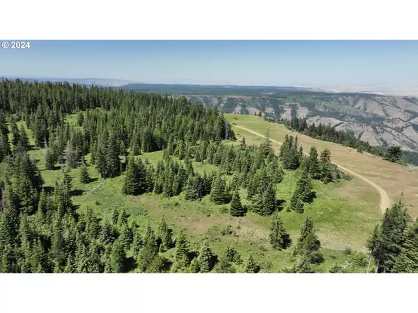 Weston, OR 97886,0 Vacant Land