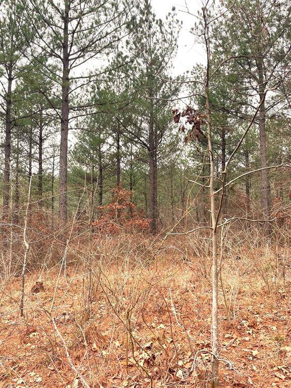 713 Timber Creek Trails South XI, Broken Bow, OK 74728