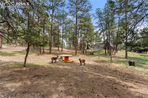 Elizabeth, CO 80107,34523 Pine Ridge CIR