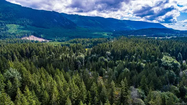 Lake Cowichan, BC V0R 2G1,Lot 19 Kestrel Dr