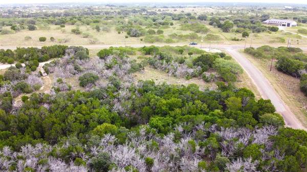 2005 Hells Gate Loop, Strawn, TX 76475