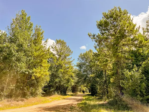 Zavalla, TX 75980,0 CR 368