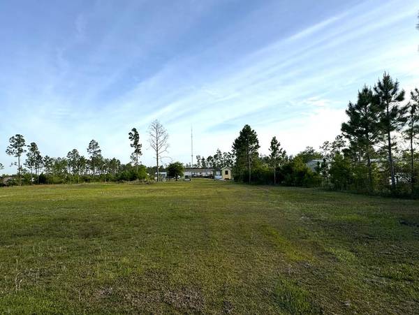 Lot 11 Pleasant Rest Rd, Wewahitchka, FL 32465