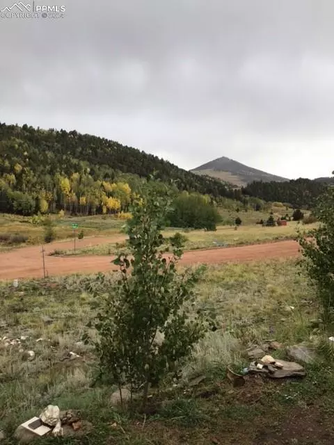 Cripple Creek, CO 80813,1521 Copper Mountain DR