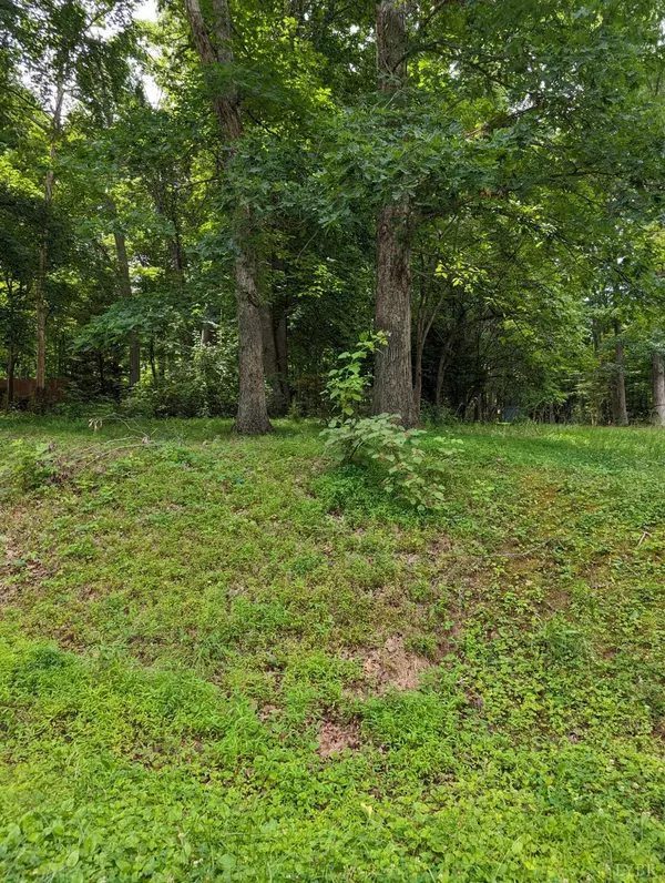 0 Lamont CIR #Lot 13, Madison Heights, VA 24572