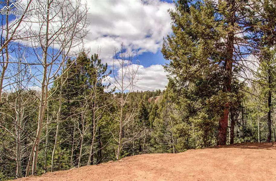 221 Valley RD, Divide, CO 80814