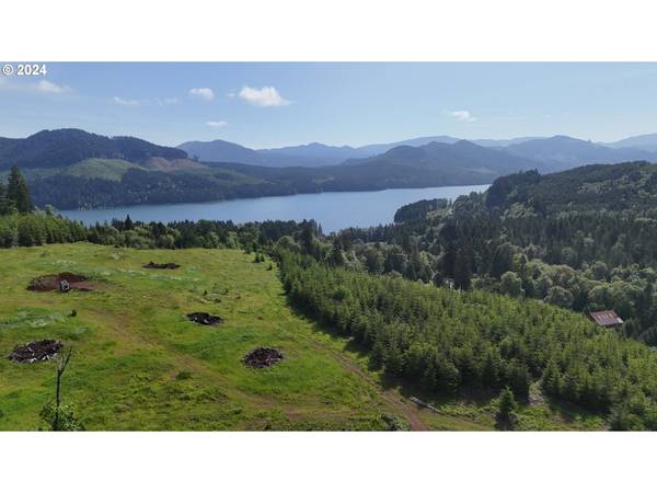 2 Carter LN, Lowell, OR 97452