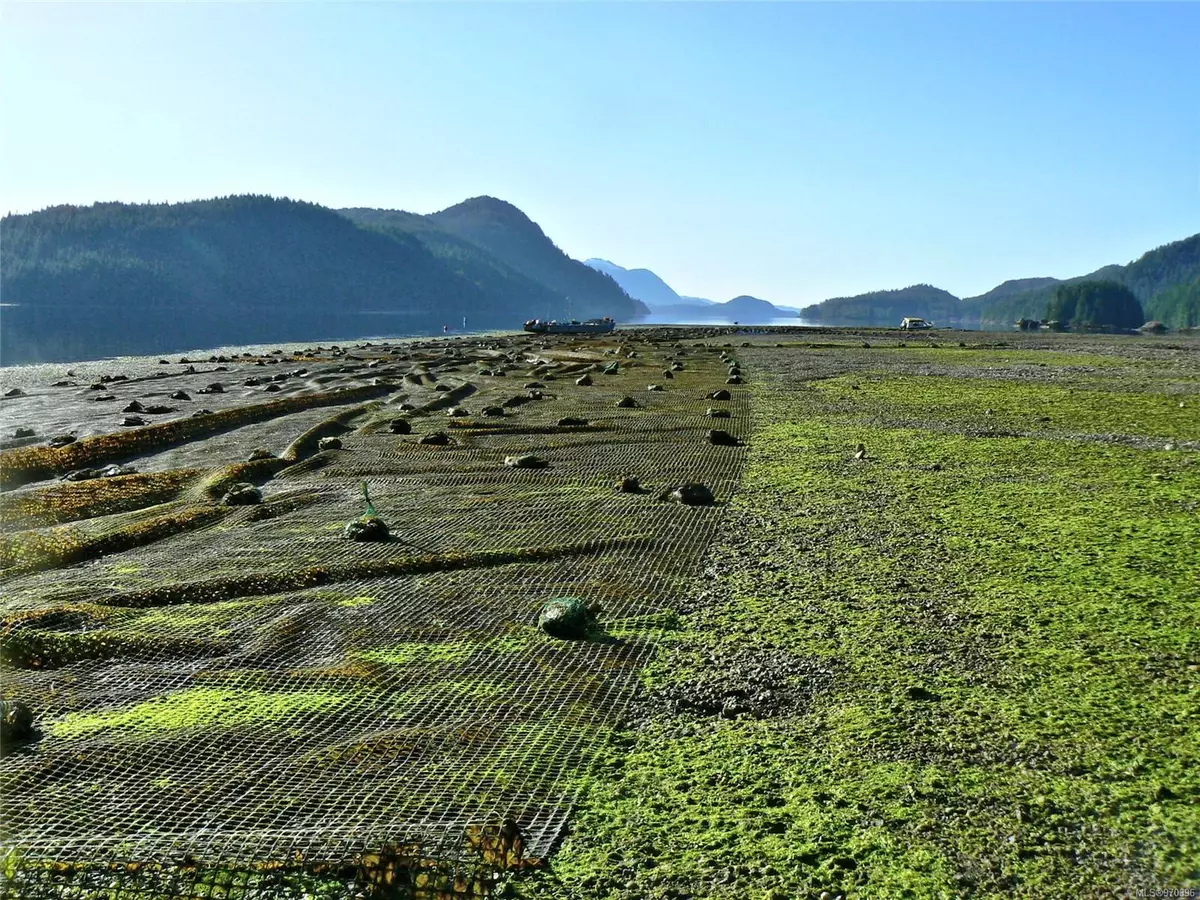 Nootka Island, BC V0P 1X0,106456 Hanna Creek