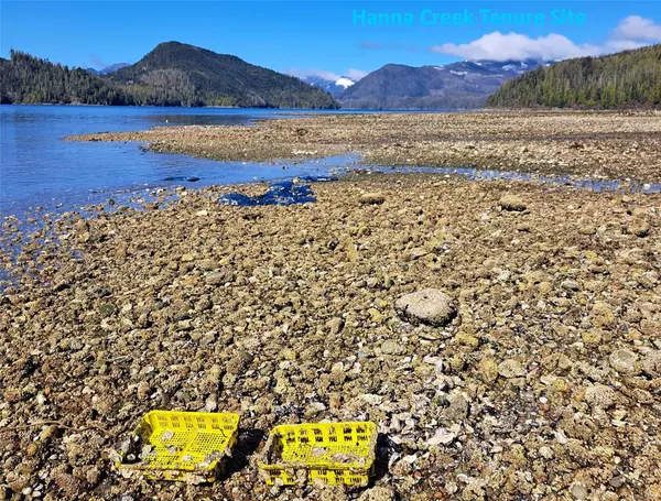 Nootka Island, BC V0P 1X0,106456 Hanna Creek