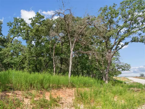 Poolville, TX 76487,Lot 54 Kilkenny Rd