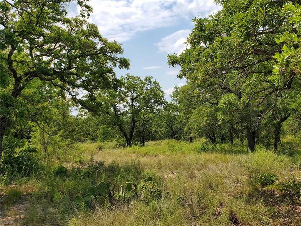 Cisco, TX 76437,TBD County Road 121