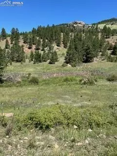 Cripple Creek, CO 80813,521 Monarch DR