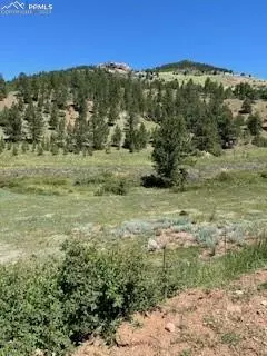 Cripple Creek, CO 80813,521 Monarch DR