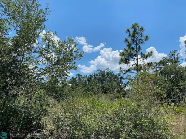 Lot 24 Blk 116 Indian Lake Drive, Other City - In The State Of Florida, FL 33855