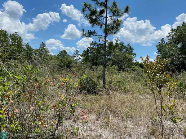 Other City - In The State Of Florida, FL 33855,Lot 24 Blk 116 Indian Lake Drive