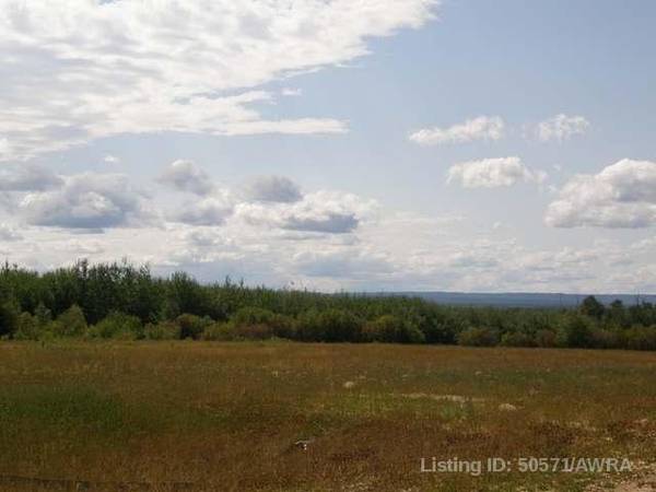 Rural Big Lakes County, AB T0G 1K0,48 SWAN VALLEY EST