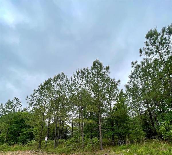 670 Timber Creek Trails South XI, Broken Bow, OK 74728