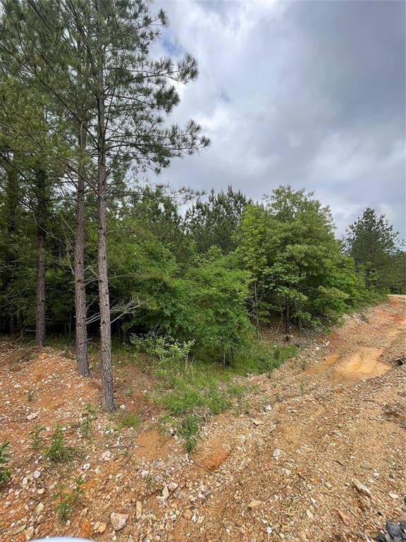 668 Timber Creek Trails South XI, Broken Bow, OK 74728