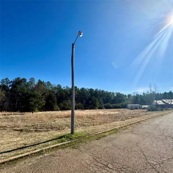 Omaha, TX 75571,Lot 29 Twin Springs Trail