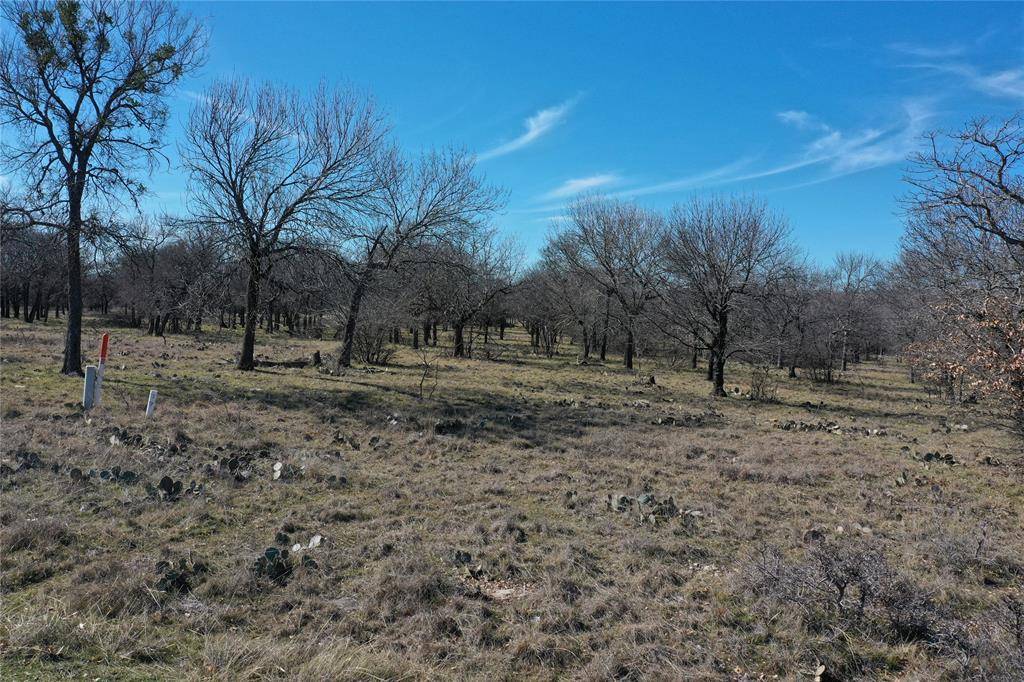 Chico, TX 76431,TBD Grand Harbor Boulevard