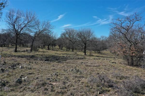 Chico, TX 76431,TBD Grand Harbor Boulevard