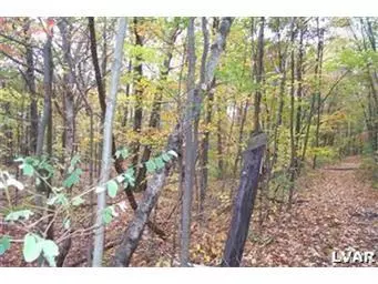 0 West Mountain Road, Bushkill Twp, PA 18091