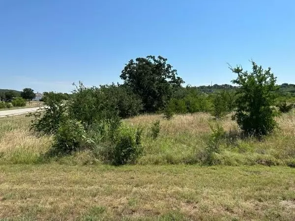 Lot 975 Cinnamon Teal, Graford, TX 76449