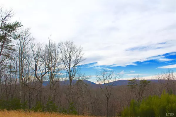 Pittsville, VA 24139,0 Leesville Lake DR #Lot 2