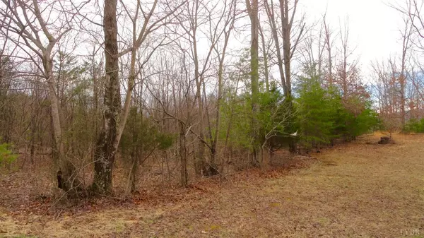 Pittsville, VA 24139,0 Leesville Lake DR #Lot 2