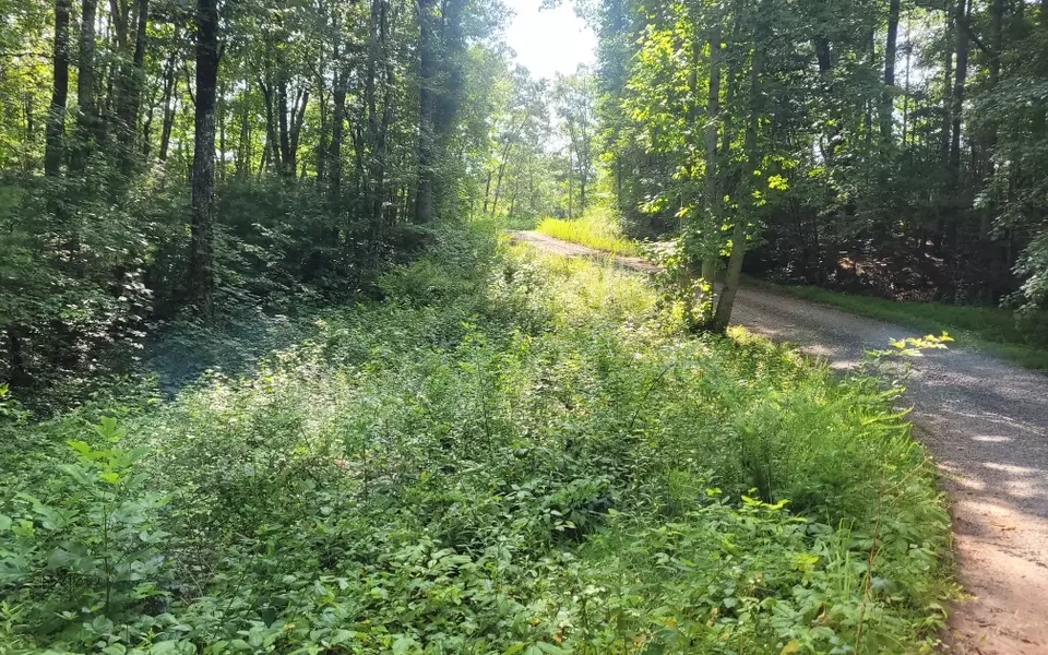 Lot 10 Quail Run Rd, Ellijay, GA 30540