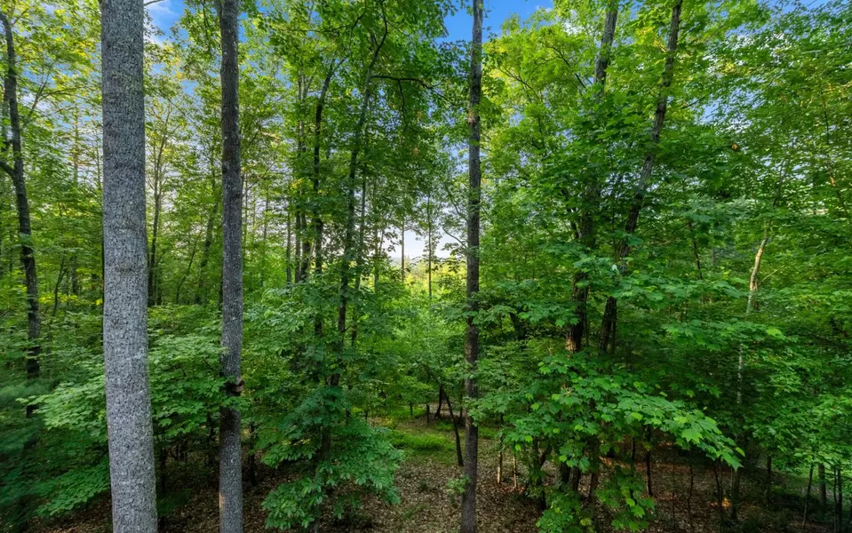 LOT 1 Hemptown Overlook, Morganton, GA 30560