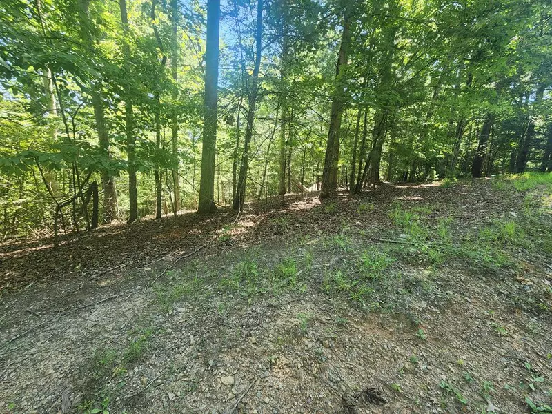 Lot 3 Meadow View Drive, Morganton, GA 30560