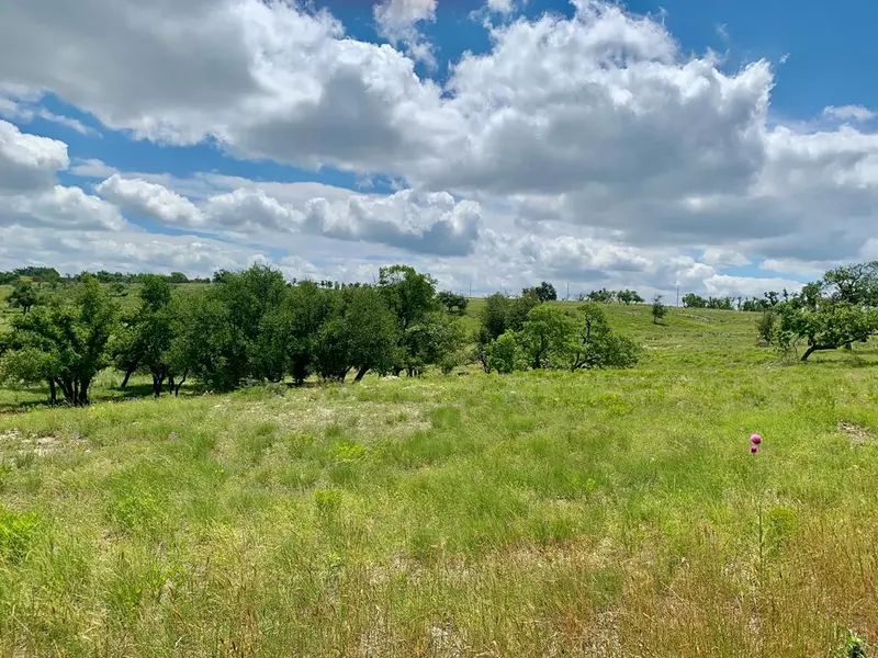 Lot 14 -- Badger Ridge Rd, Fredericksburg, TX 78624