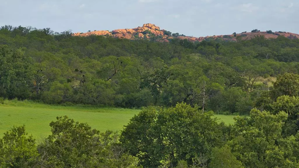 10921 -- Ranch Rd 386, Mason, TX 76856