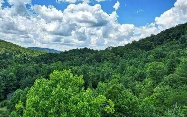 Hayesville, NC 28904,LOT21 Fly Cast Overlook