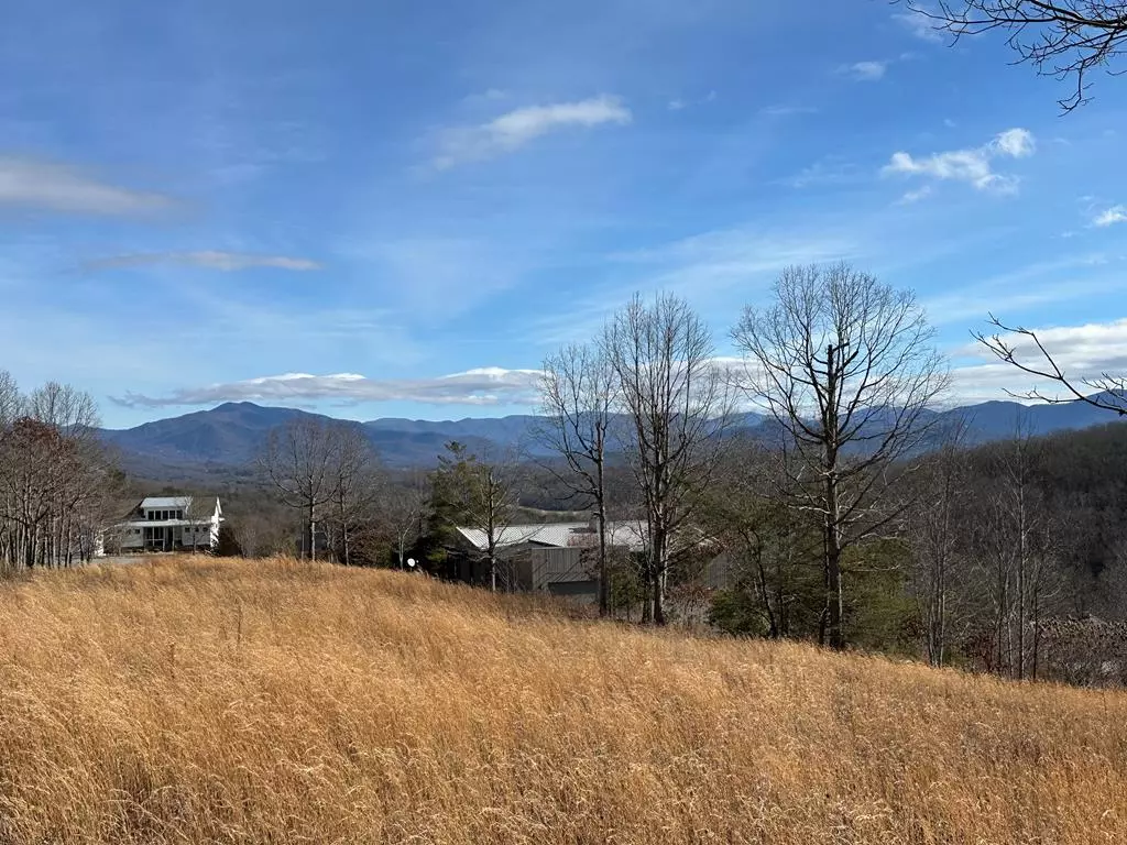 Hayesville, NC 28904,Lot 20 Smokerise