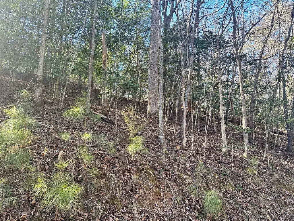 Ellijay, GA 30540,934 Lot Ezra