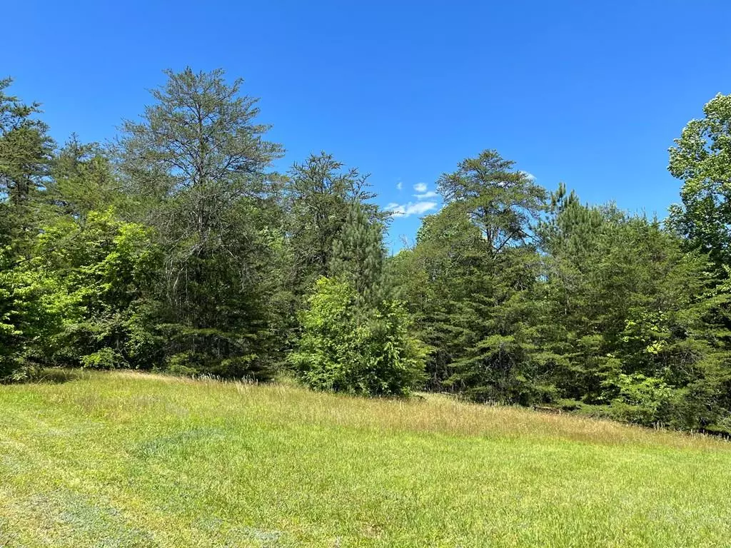 Hayesville, NC 28904,Lot 46A Licklog Ridge