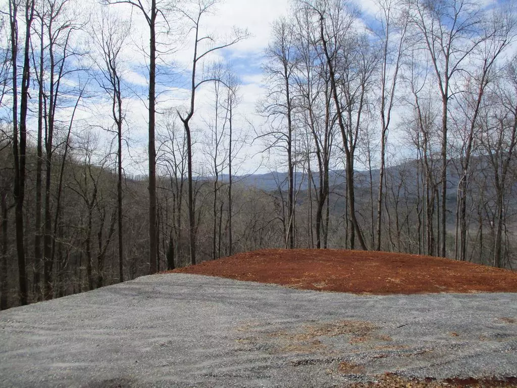 Hayesville, NC 28904,LT 5 High Meadows Ridge