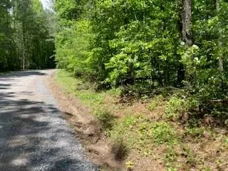 Ellijay, GA 30540,LT 3758 GRAHAM COURT