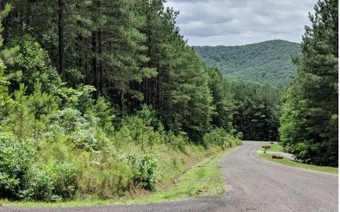 Ellijay, GA 30536,LOT 6 Black Bear Ridge Road