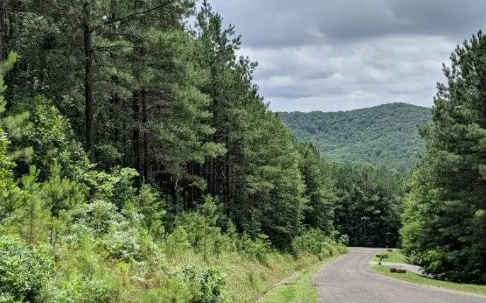 Ellijay, GA 30536,LOT 7 Ridge Top Drive