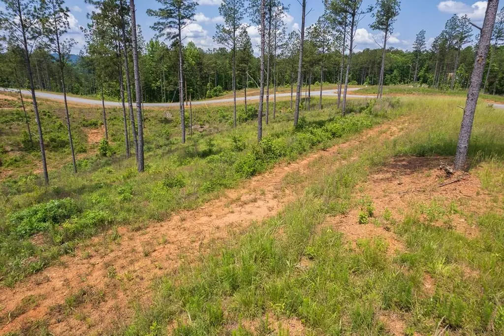 Talking Rock, GA 30175,Lot 178 Vista Creek Drive