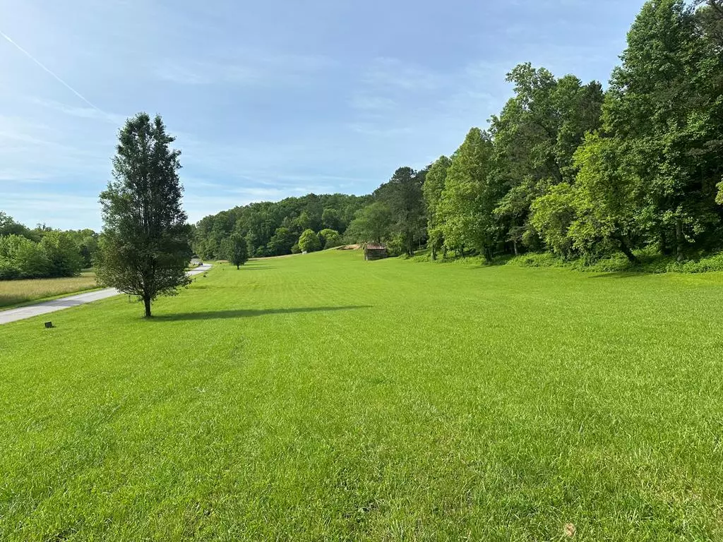 Warne, NC 28909,Lot 44 Prosperity Dr