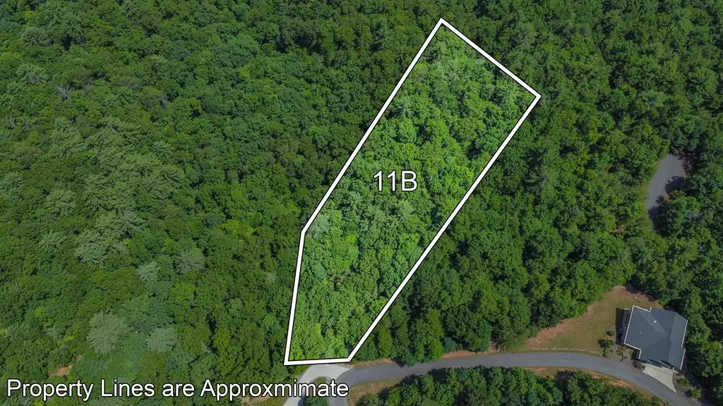 Blairsville, GA 30512,Lot 11B Prospectors Road